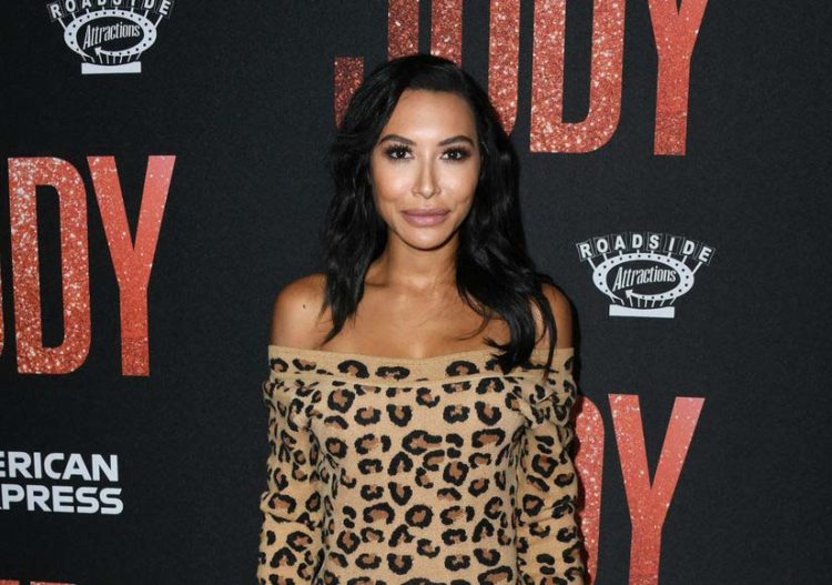 Naya Rivera Biography Net Worth 2020, Husband, Death, Movies